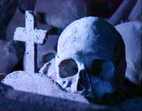 totenkopf-neapel-200"